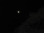 20130920210337.JPG